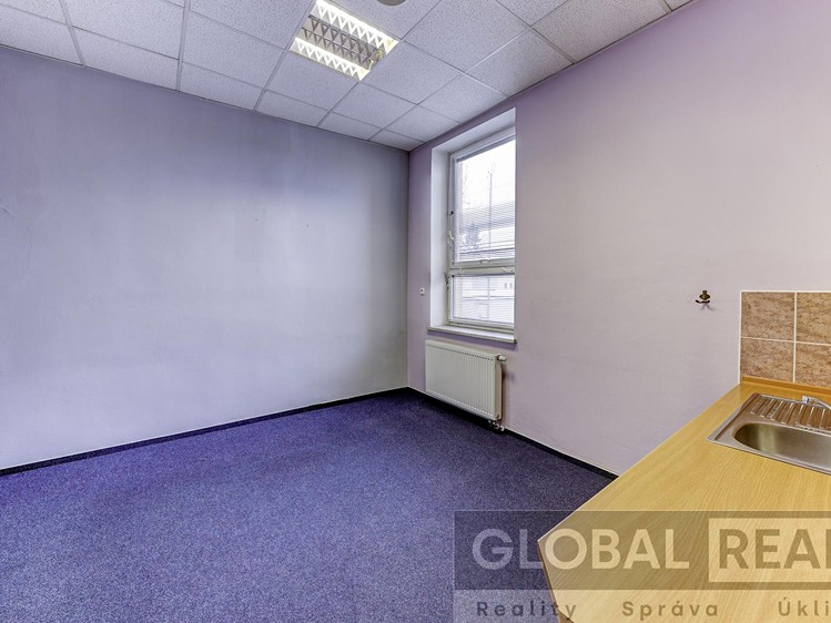 Prodej obchodního prostoru 401 m² - foto 6