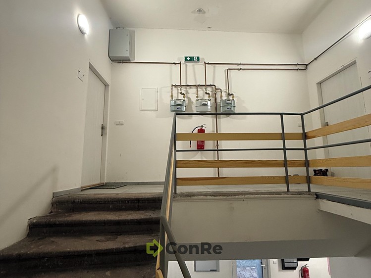 Prodej činžovního domu 287 m² - foto 7