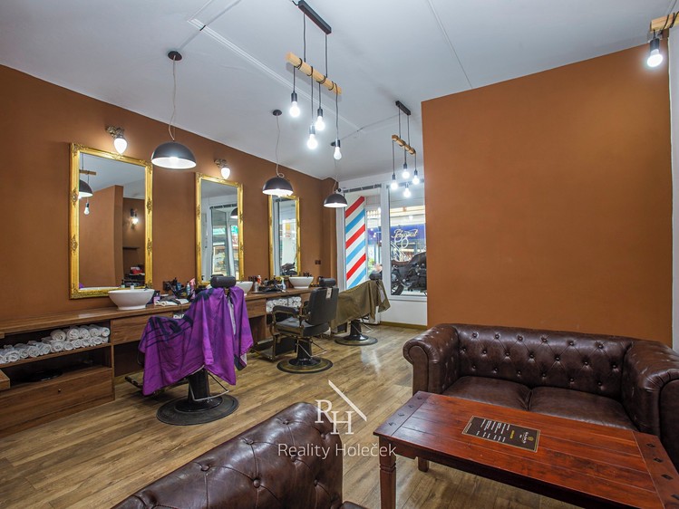 Prodej činžovního domu 935 m² - foto 5