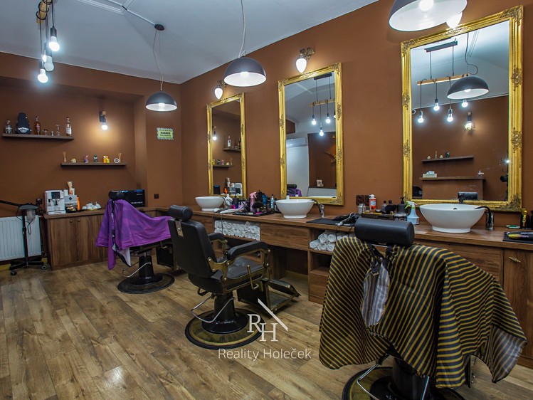 Prodej činžovního domu 935 m² - foto 7
