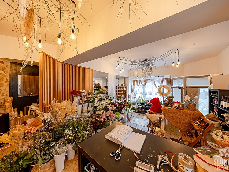 Prodej činžovního domu 450 m² - foto 6