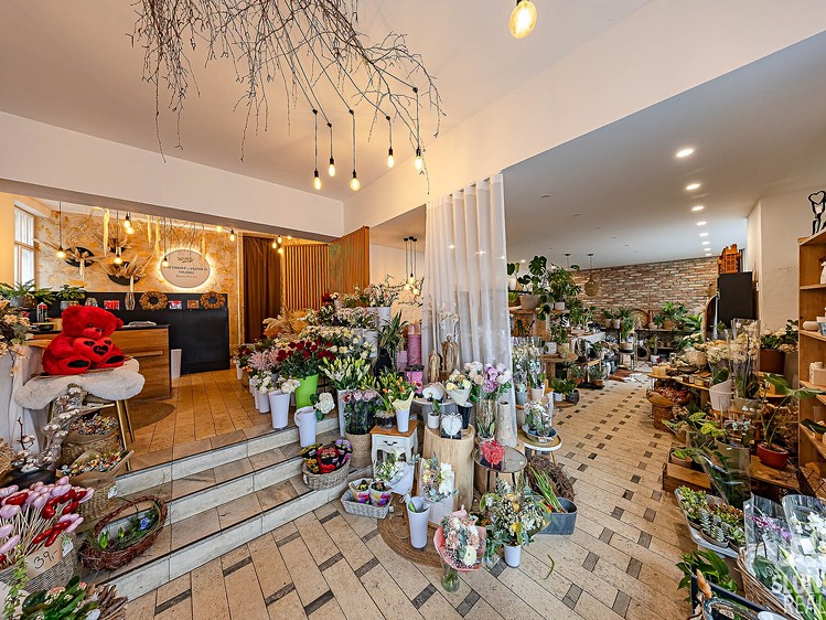 Prodej činžovního domu 450 m² - foto 5