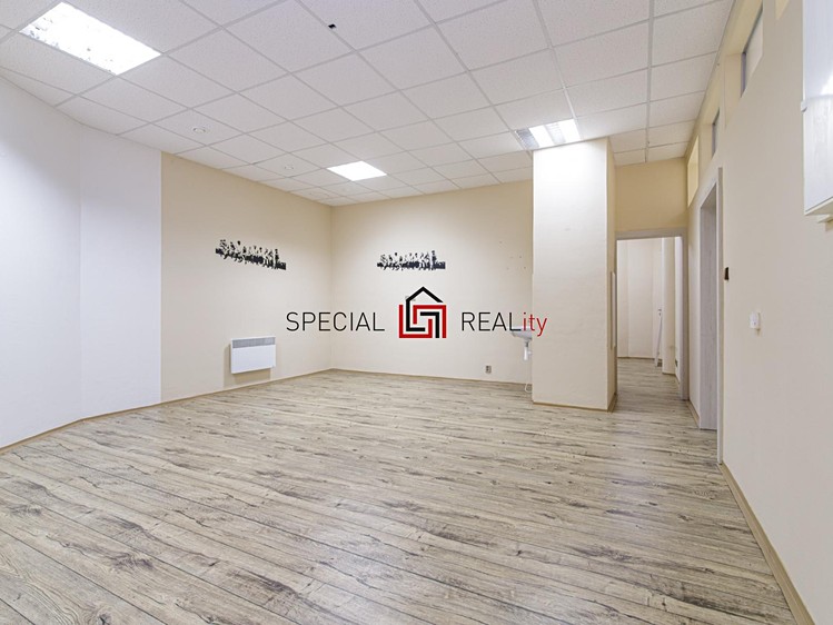 Prodej obchodního prostoru 121 m² - foto 4