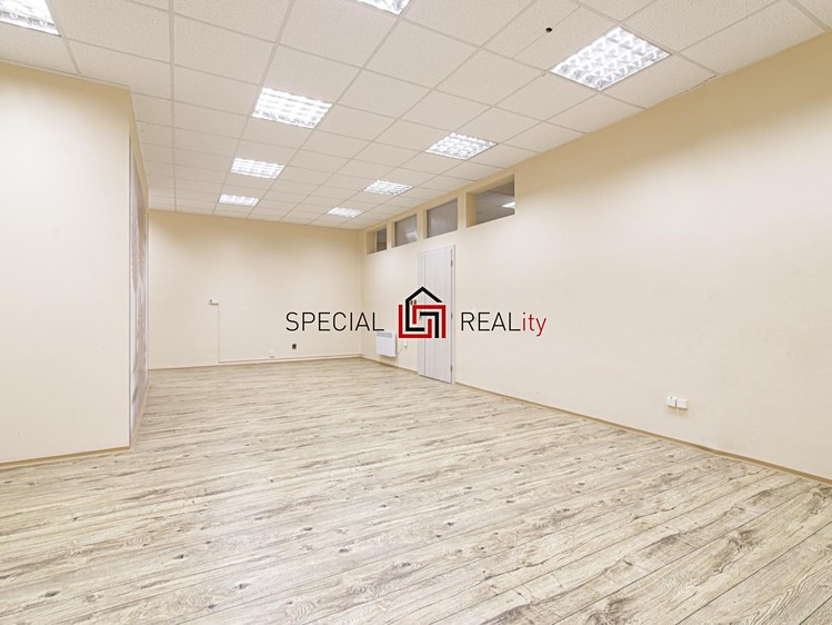 Prodej obchodního prostoru 121 m² - foto 8
