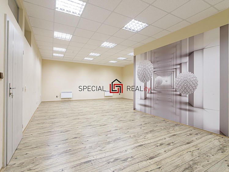 Prodej obchodního prostoru 121 m² - foto 6