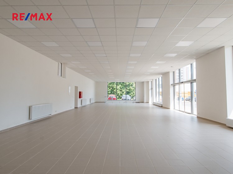 Prodej obchodního prostoru 460 m² - foto 4