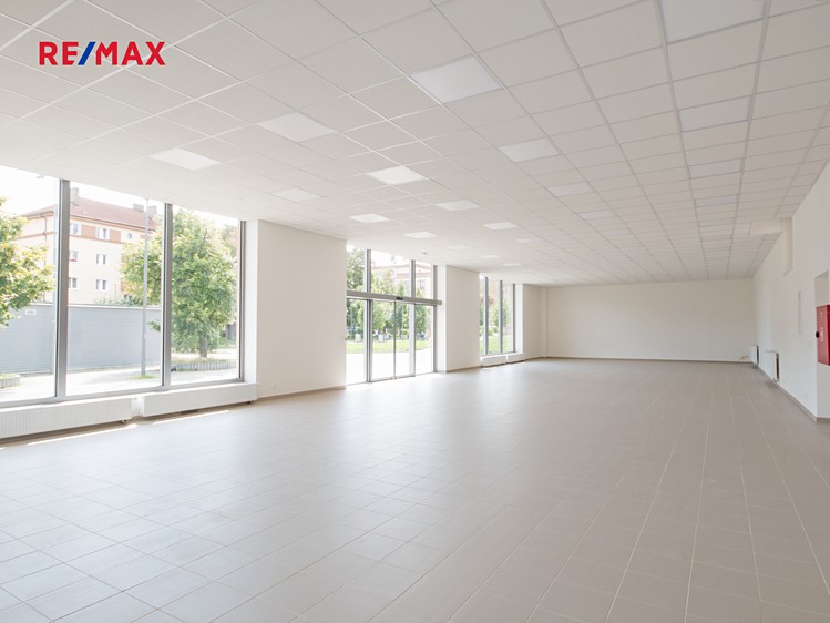 Prodej obchodního prostoru 460 m² - foto 6