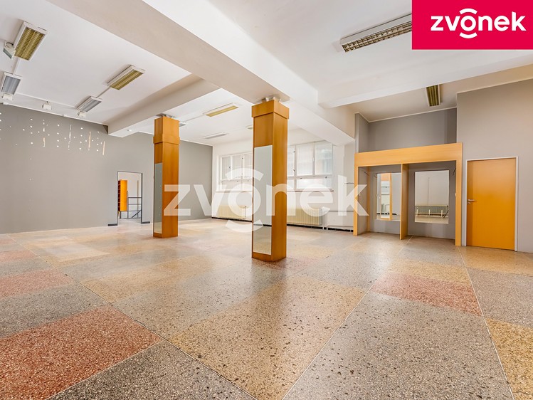 Prodej obchodního prostoru 700 m² - foto 4