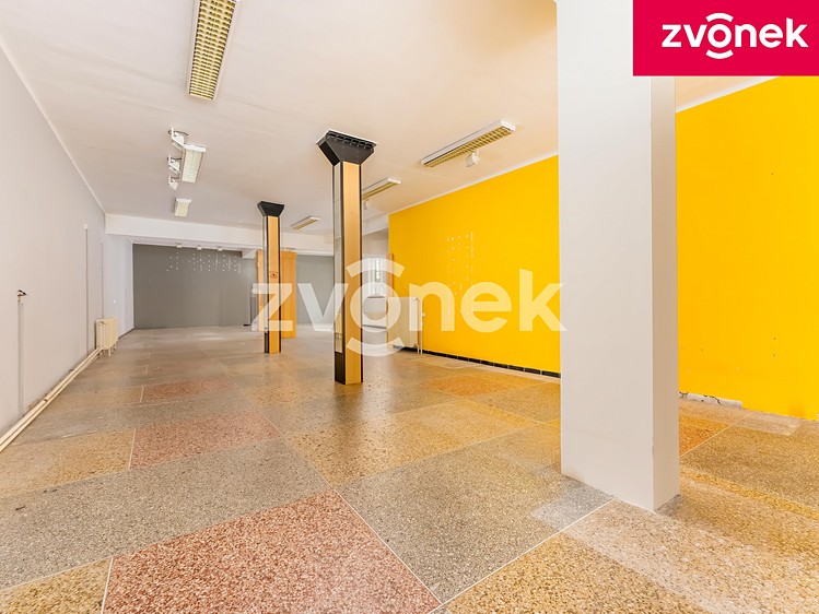 Prodej obchodního prostoru 700 m² - foto 6