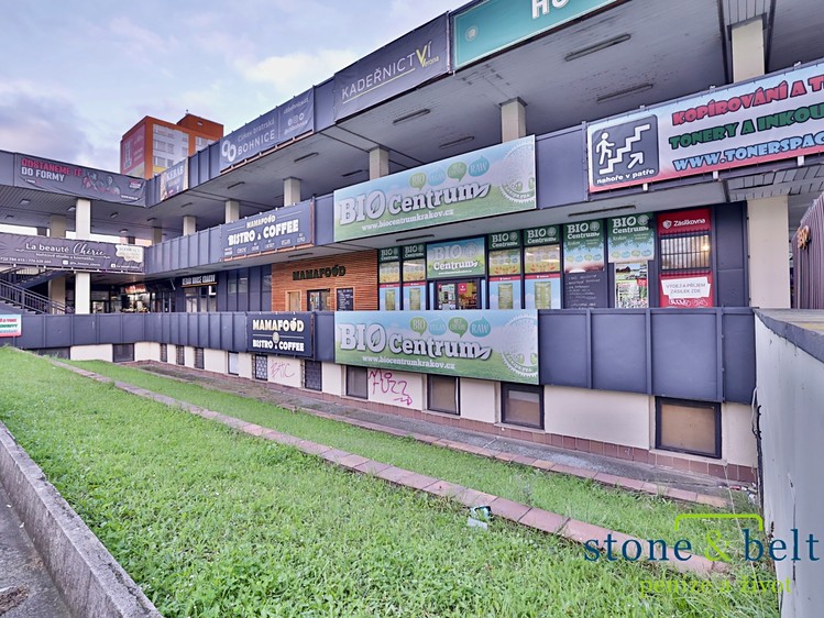 Prodej obchodního prostoru 254 m² - foto 7