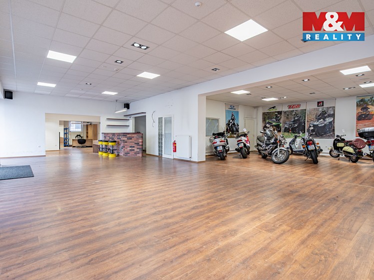 Prodej obchodního prostoru 500 m² - foto 4