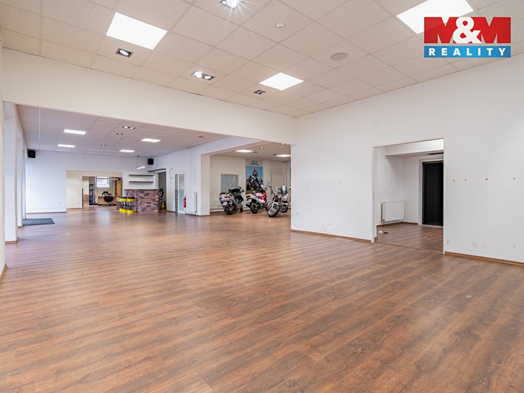 Prodej obchodního prostoru 500 m² - foto 5