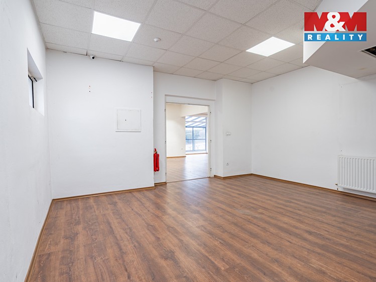 Prodej obchodního prostoru 500 m² - foto 6