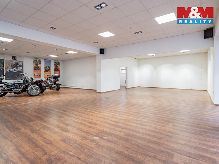 Prodej obchodního prostoru 500 m² - foto 8