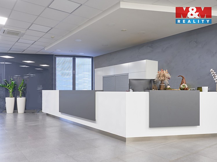 Prodej obchodního prostoru 5 777 m² - foto 4