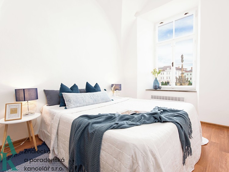Prodej činžovního domu 777 m² - foto 5