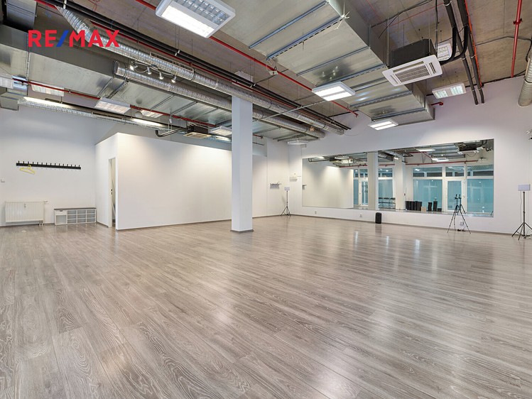 Prodej obchodního prostoru 109 m² - foto 4
