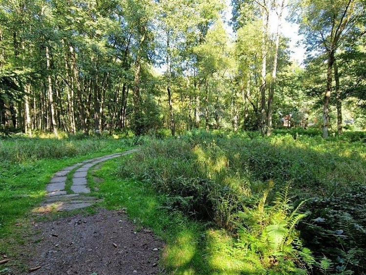 Prodej ubytovacího zařízení 772 m² - foto 3