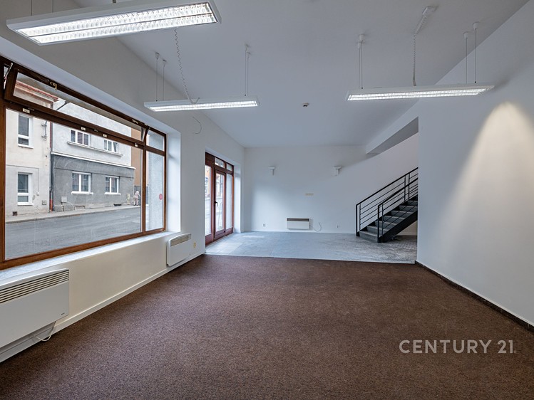 Prodej komerční nemovitosti 196 m² - foto 4