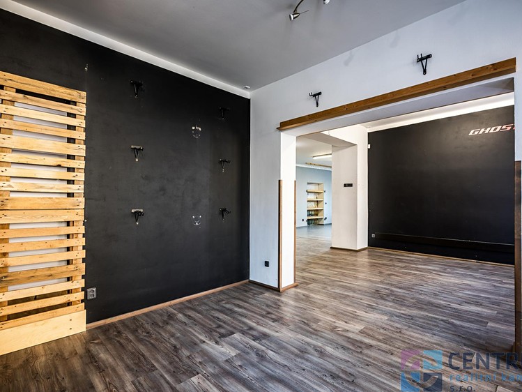 Prodej obchodního prostoru 176 m² - foto 4