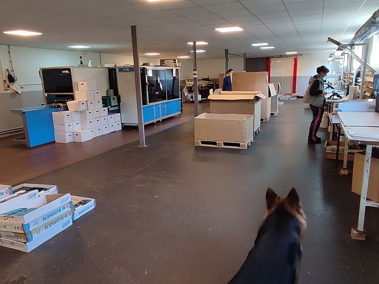 Prodej výrobní haly, prostoru 3 040 m² - foto 5