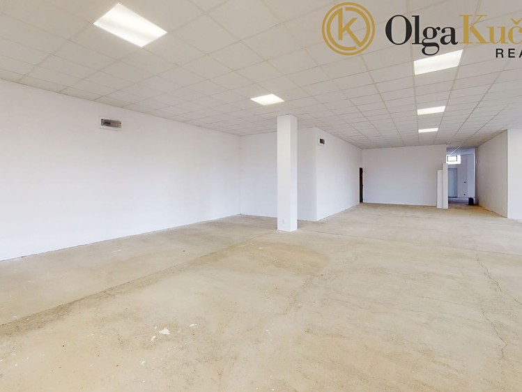 Prodej obchodního prostoru 868 m² - foto 8
