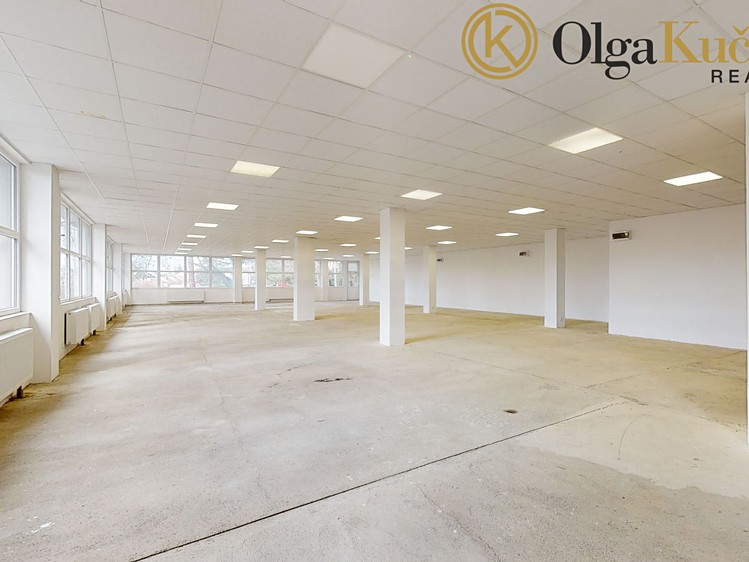 Prodej obchodního prostoru 868 m² - foto 5