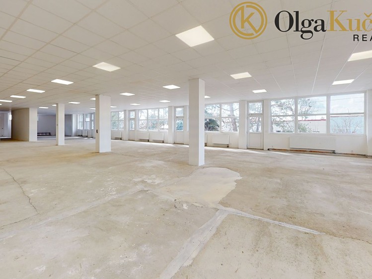 Prodej obchodního prostoru 868 m² - foto 6