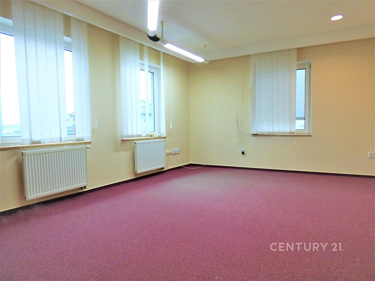Prodej komerční nemovitosti 251 m² - foto 6