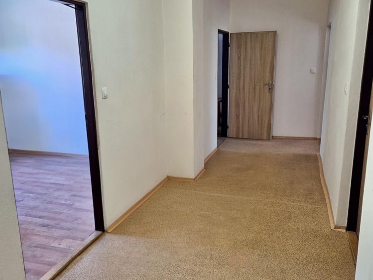 Prodej obchodního prostoru 384 m² - foto 7