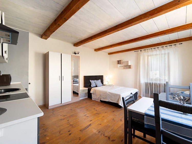 Prodej ubytovacího zařízení 255 m² - foto 8