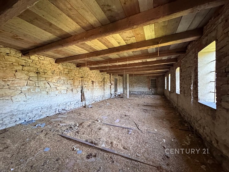 Prodej komerční nemovitosti 996 m² - foto 6