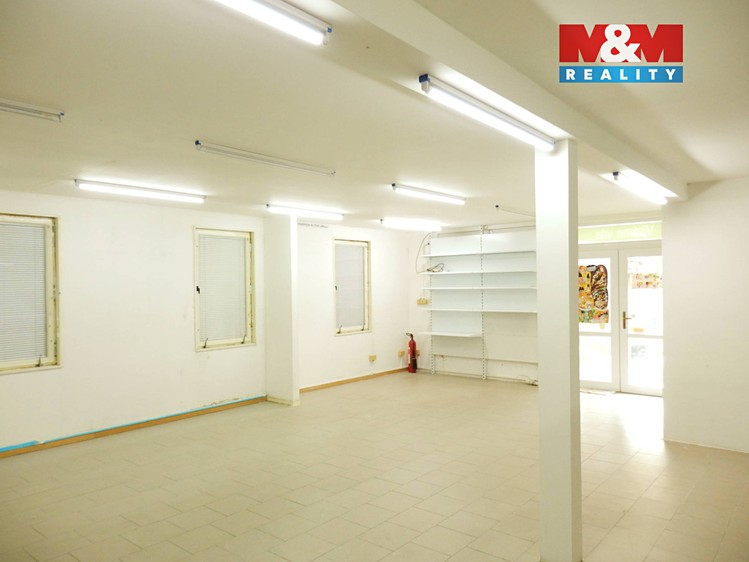 Prodej obchodního prostoru 117 m² - foto 8