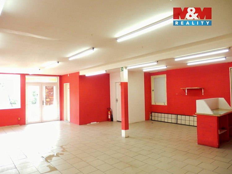 Prodej obchodního prostoru 117 m² - foto 7