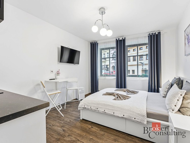 Prodej ubytovacího zařízení 298 m² - foto 7