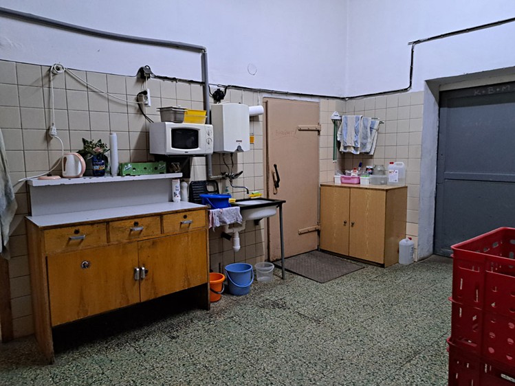 Prodej obchodního prostoru 773 m² - foto 6