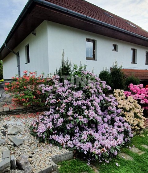 Prodej ubytovacího zařízení 268 m² - foto 8
