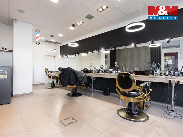Prodej obchodního prostoru 720 m² - foto 5