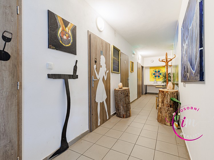 Prodej obchodního prostoru 242 m² - foto 4
