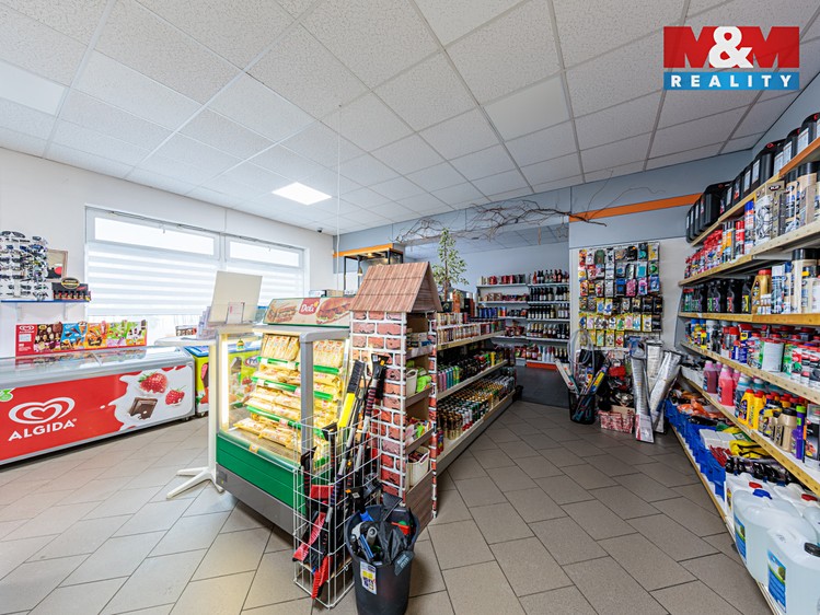 Prodej obchodního prostoru 120 m² - foto 5