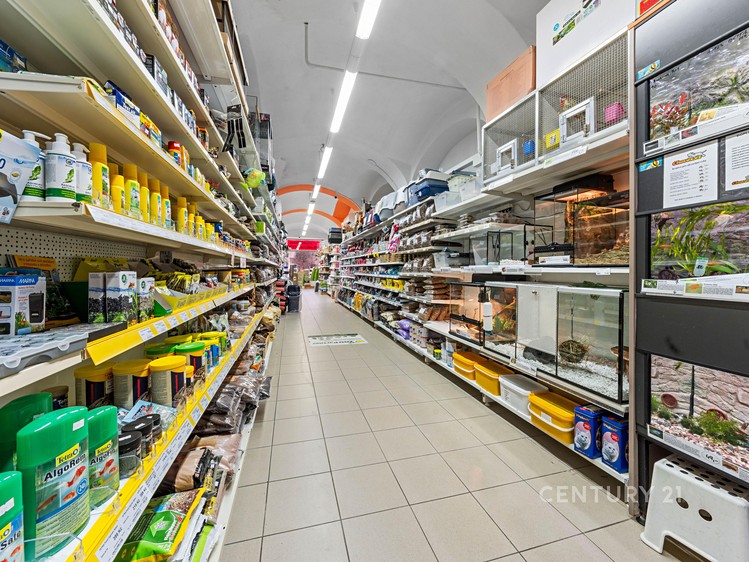 Prodej komerční nemovitosti 800 m² - foto 4