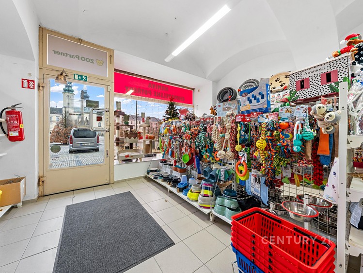 Prodej komerční nemovitosti 800 m² - foto 5