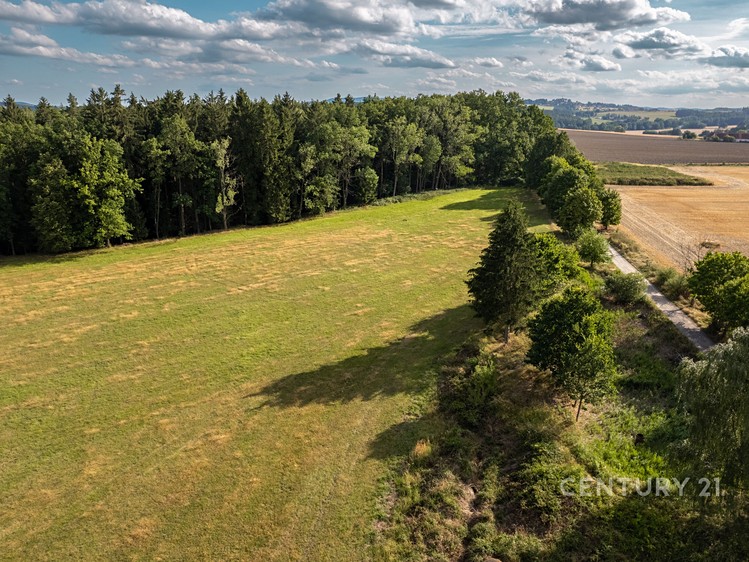 Prodej zemědělského objektu 600 m² - foto 7