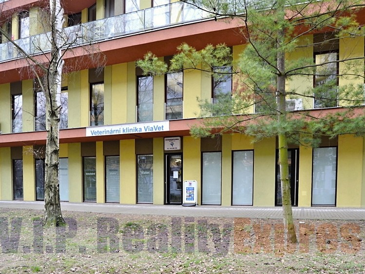 Prodej obchodního prostoru 259 m² - foto 3