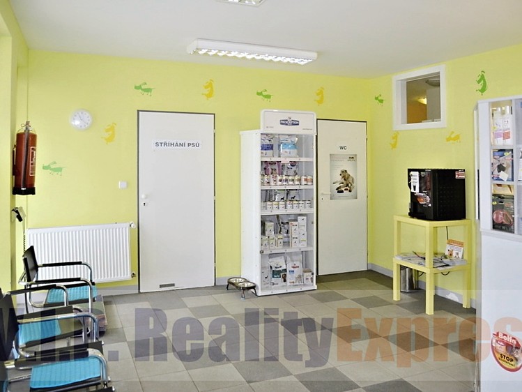 Prodej obchodního prostoru 259 m² - foto 4