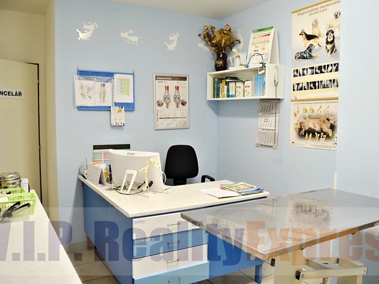 Prodej obchodního prostoru 259 m² - foto 6