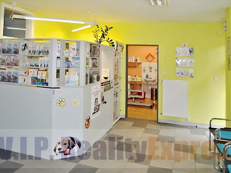 Prodej obchodního prostoru 259 m² - foto 5