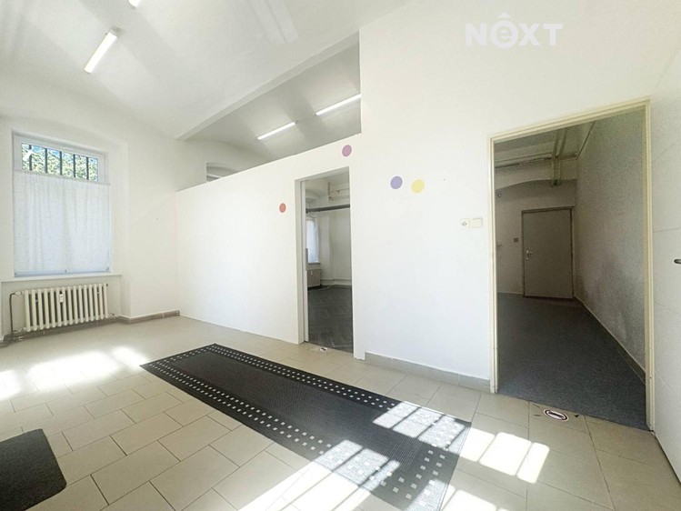 Prodej obchodního prostoru 48 m² - foto 8