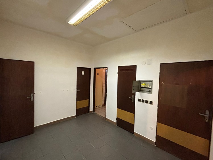 Prodej obchodního prostoru 80 m² - foto 8