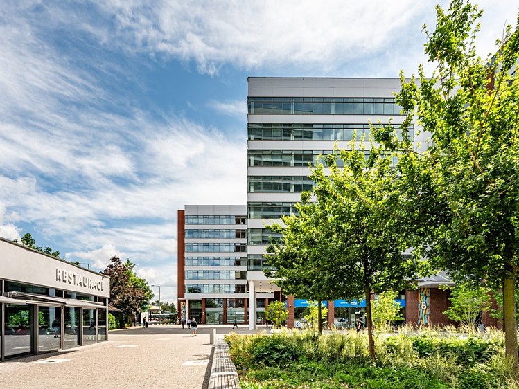 Pronájem kanceláře 197 m² - foto 8